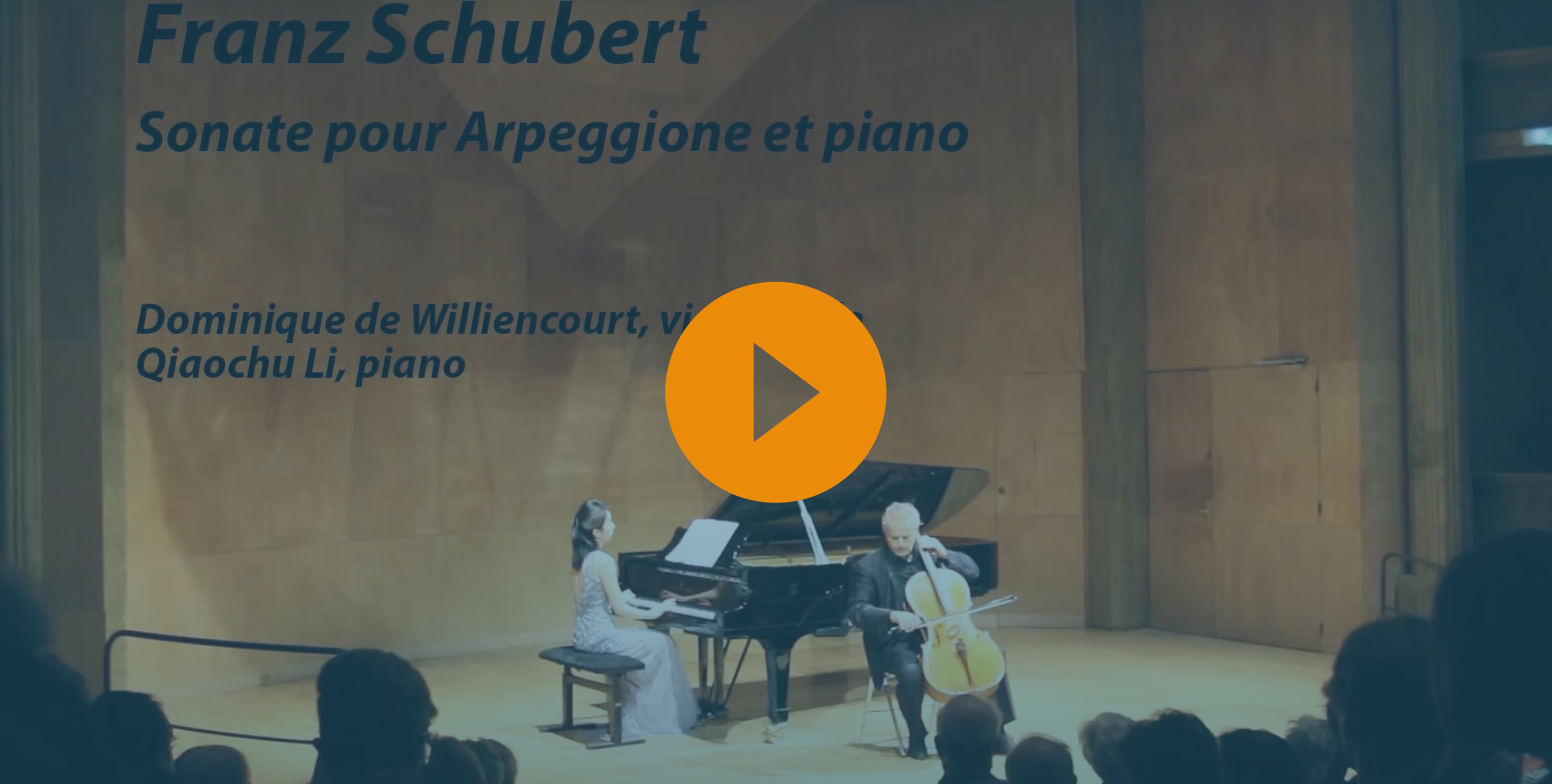 Vidéo Dominique de Williencourt Artiste Compositeur Violoncelliste